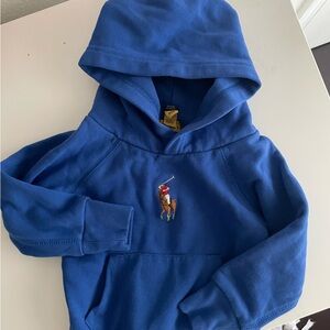 Toddler Girls 2T Polo Hoodie